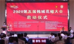 五公现场爆料新闻,独家揭秘幕后真相，事件背后惊人内幕！”